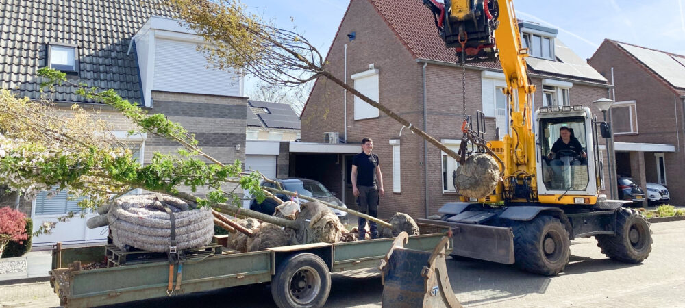 Herinrichting woonstraat Helmond