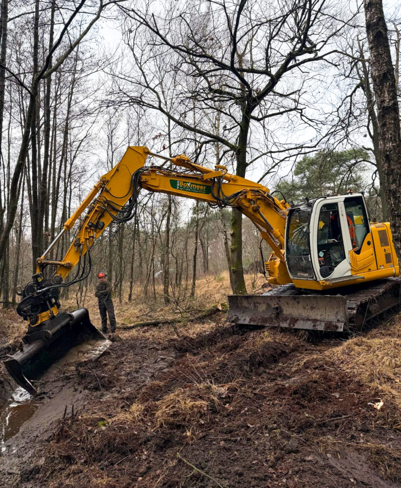 99e478f4-77b0-403d-bf66-970428277307