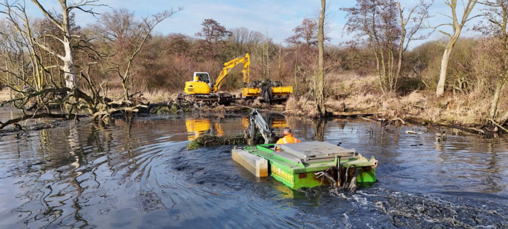 Verwijderen grote waternavel Kessel-Eik