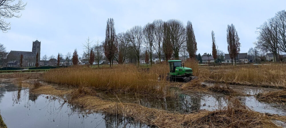 VanBoxmeer_Rietmaaien