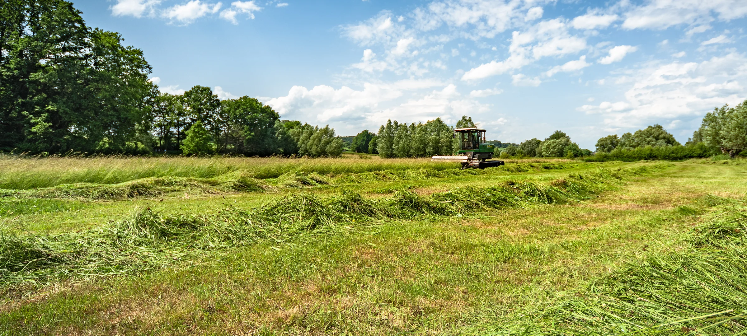 VanBoxmeer_natte-natuur_Header