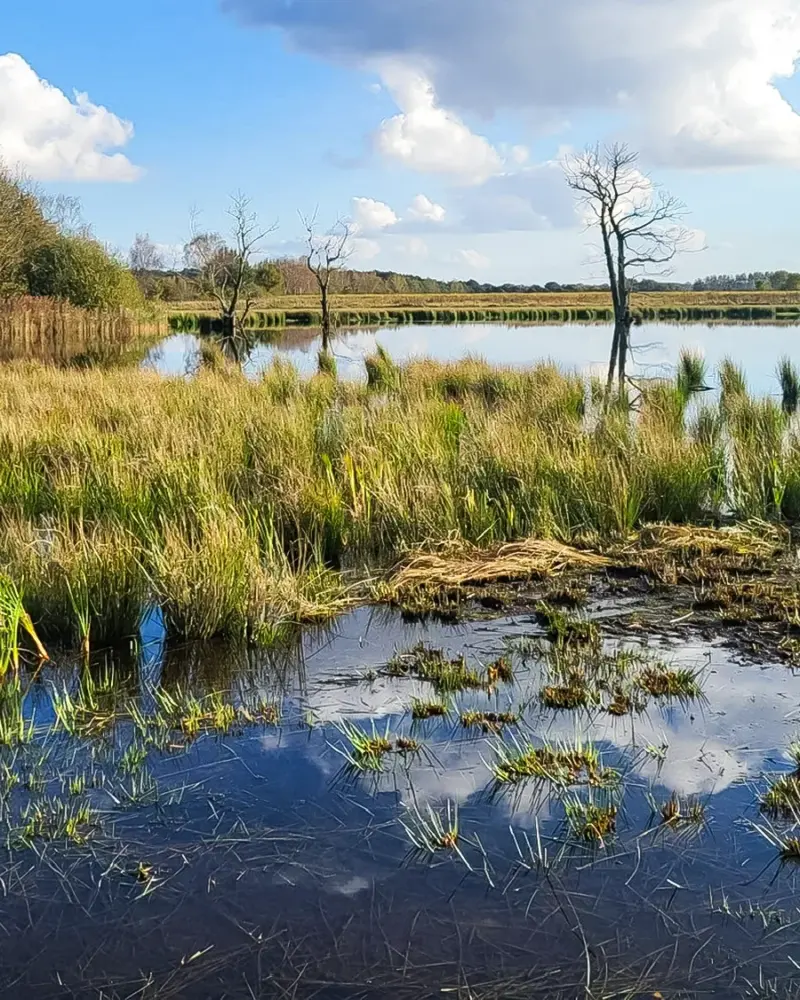 VanBoxmeer_natuur-realisatie
