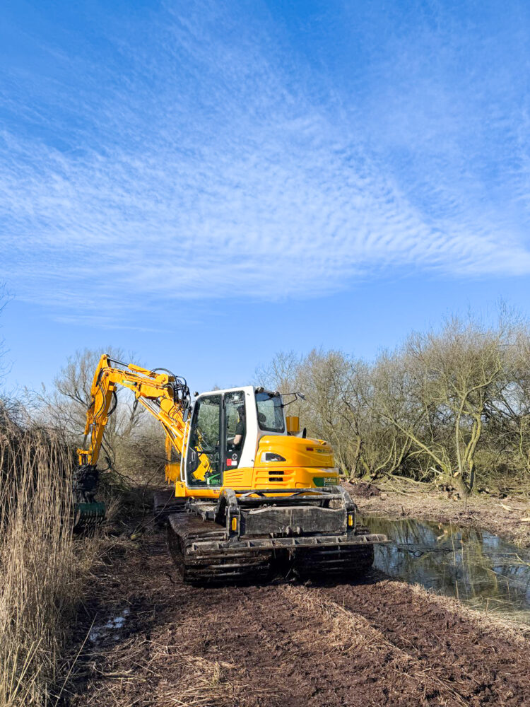 WhatsApp Image 2026-02-27 at 12.53.30 (1)