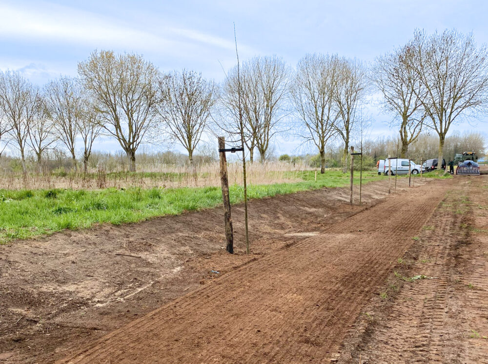 Beekherstel De Groene Punt Helmond