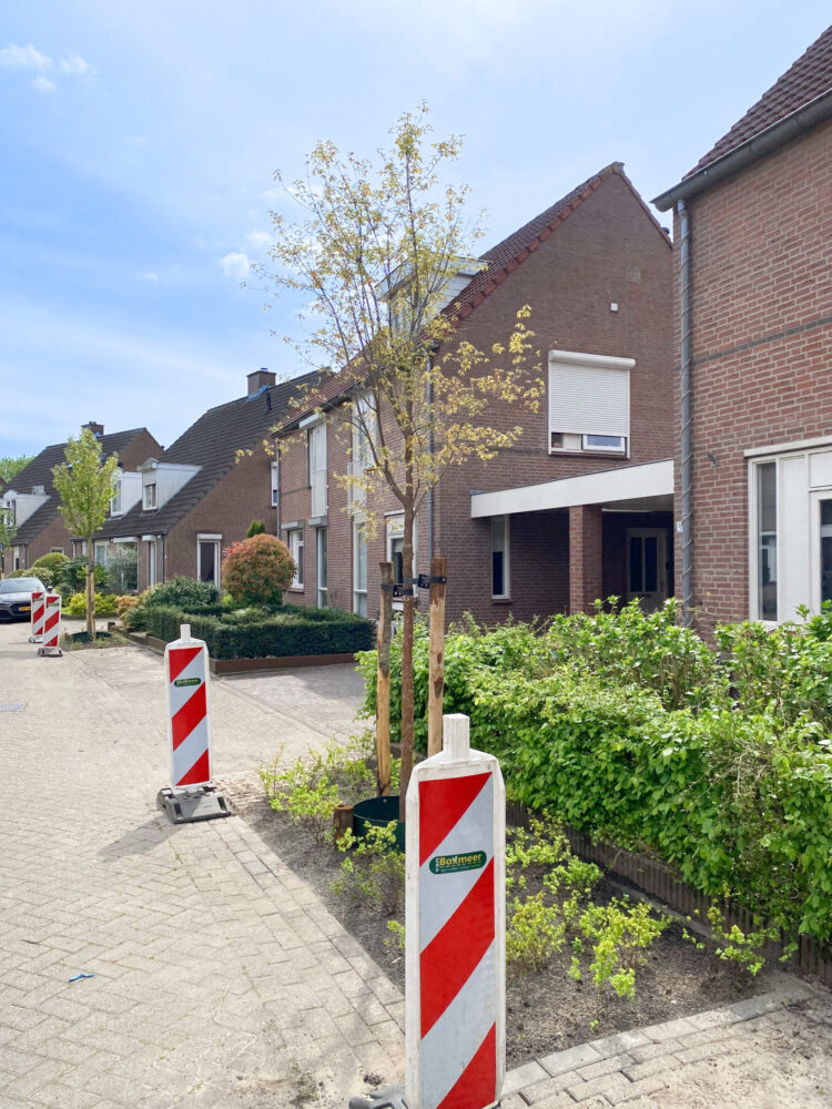 Herinrichting woonstraat Helmond