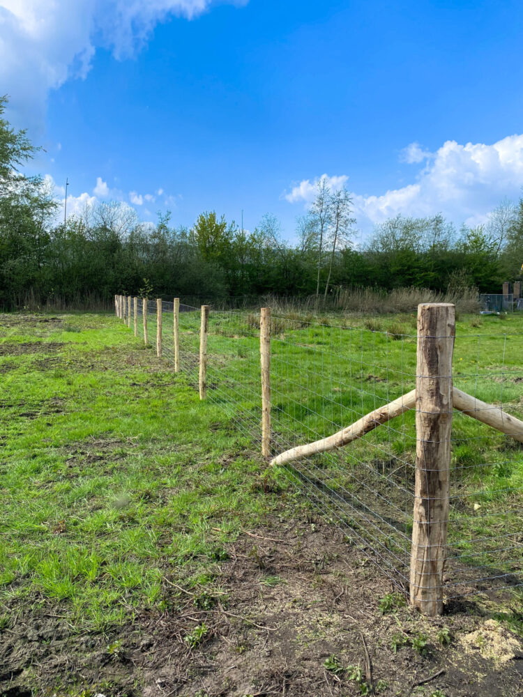 WhatsApp Image 2026-04-23 at 10.12.53 (1)