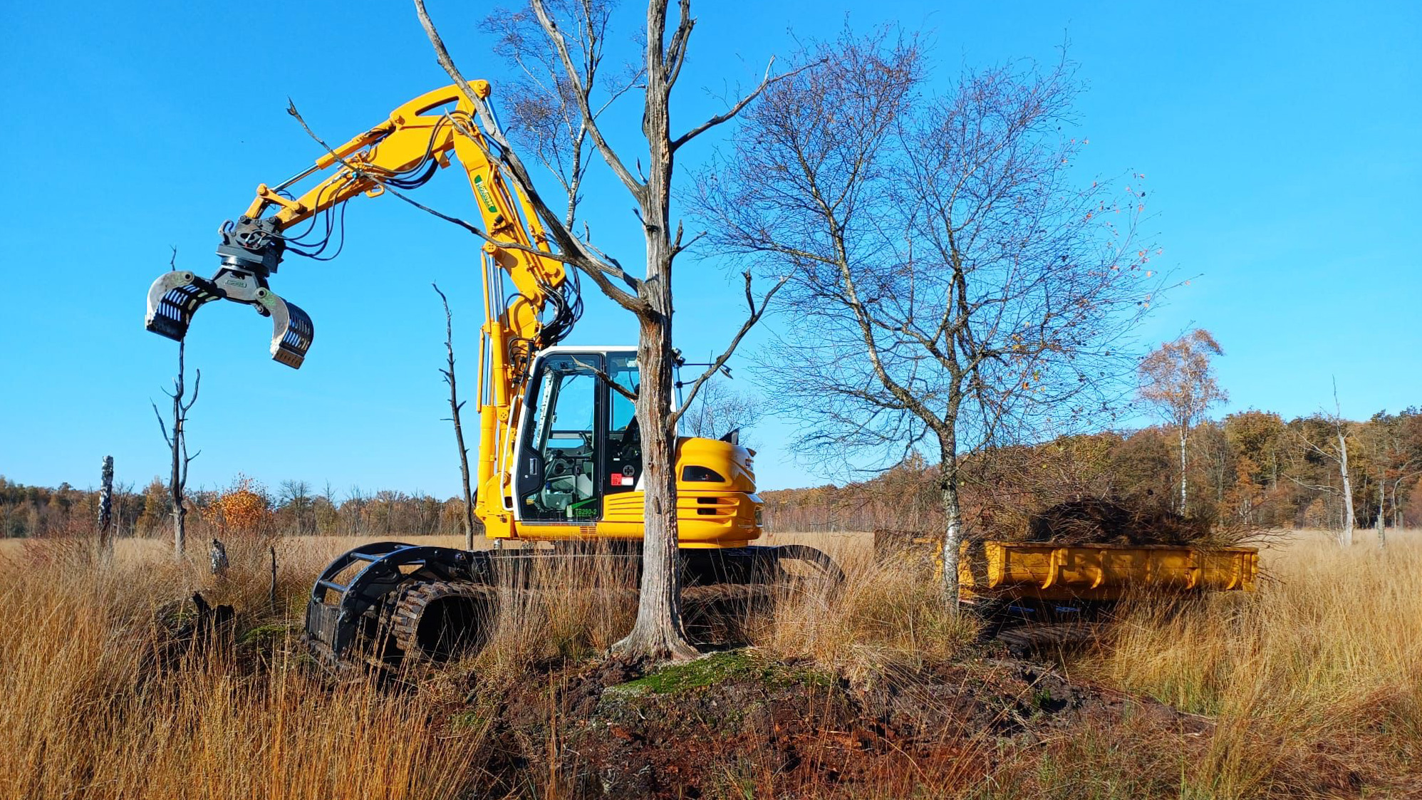 Trosbosbessen verwijderen