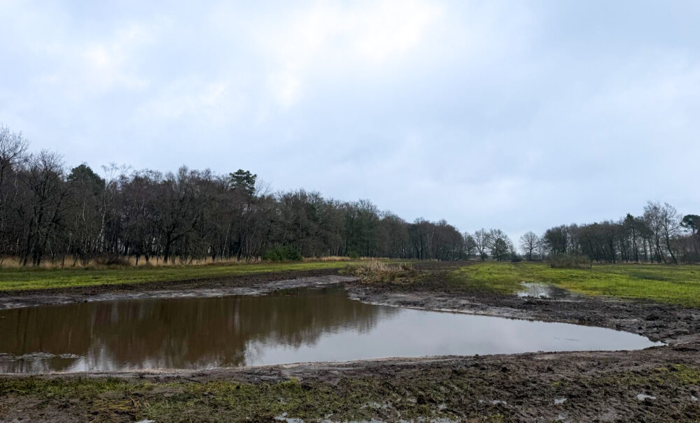 dc24e2cc-8bf3-49b0-911e-ef23ce3b846c